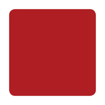 Eternal tattoo ink (REDS)